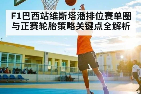 F1巴西站维斯塔潘排位赛单圈与正赛轮胎策略关键点全解析
